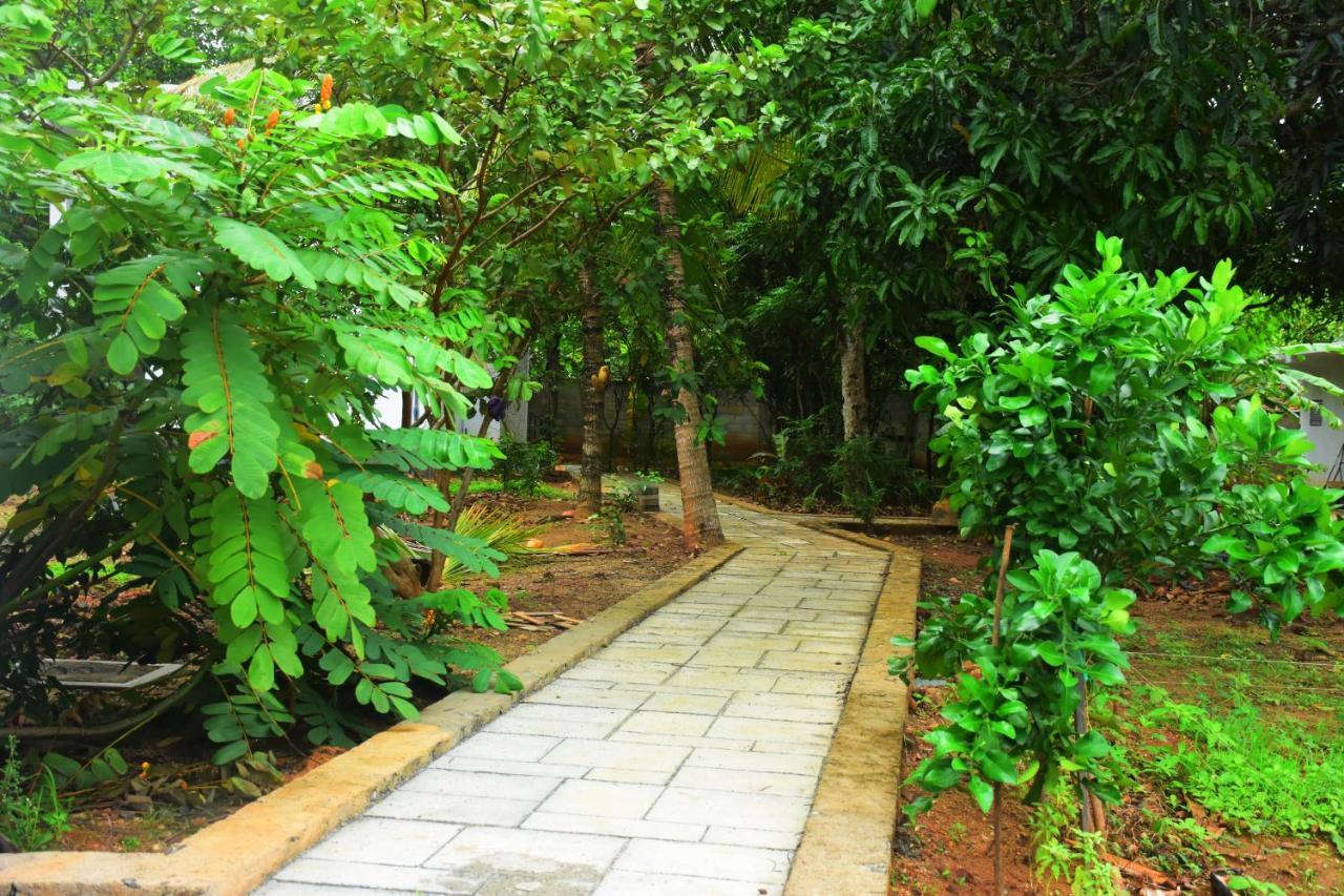 Forest Dew Udawalawa Udawalawe Exterior photo